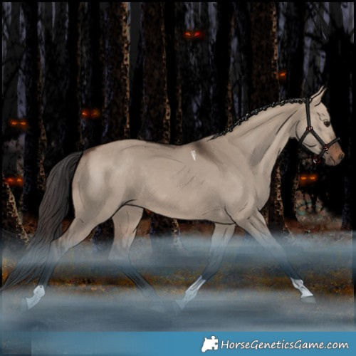 Horse Color:Brown Dun Tobiano Rabicano 