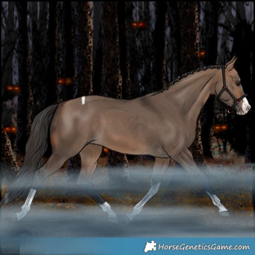 Horse Color:Bay Dun Splash Tobiano Rabicano
