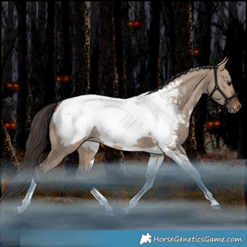 Horse Color:Brown Dun Tobiano Appaloosa Rabicano 