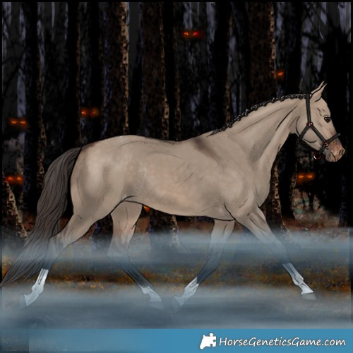 Horse Color:Brown Dun Tobiano Appaloosa Rabicano