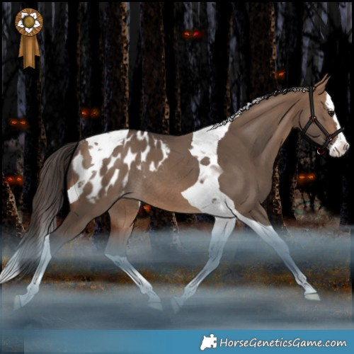 Horse Color:Bay Dun Splash Tobiano Appaloosa Rabicano 