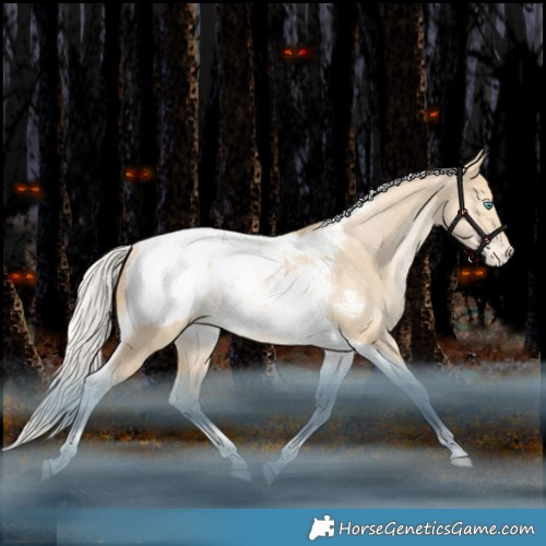 Horse Color:Silver Bay Snowdrop Dun Tobiano Appaloosa Rabicano 
