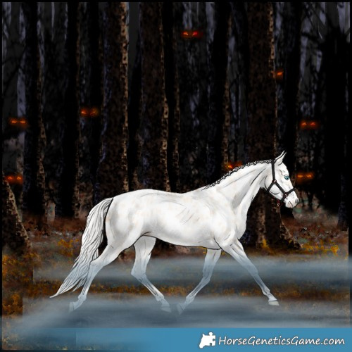 Horse Color:Silver Classic Champagne Snowdrop Dun Tobiano Appaloosa 