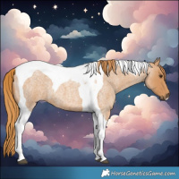 Horse Color:Red Roan Tobiano 