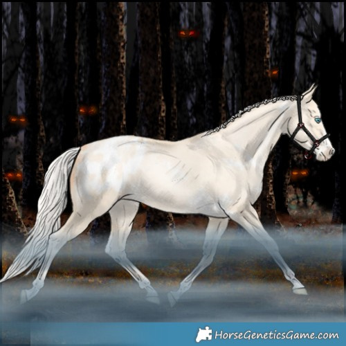 Horse Color:White Spotted Silver Classic Champagne Snowdrop Pearl Dun Splash Tobiano Appaloosa Rabicano 
