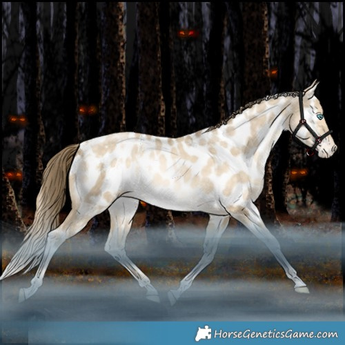 Horse Color:White Spotted Brown Snowdrop Pearl Dun Tobiano Appaloosa Rabicano