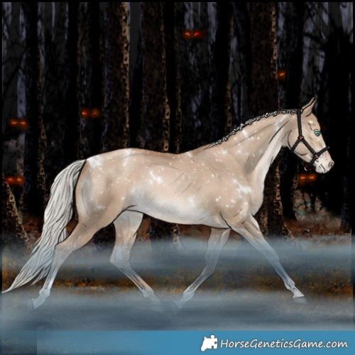 Horse Color:White Spotted Silver Grullo Pearl Tobiano Appaloosa Rabicano