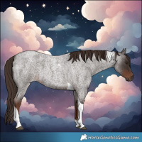 Horse Color:Liver Red Roan Tobiano 