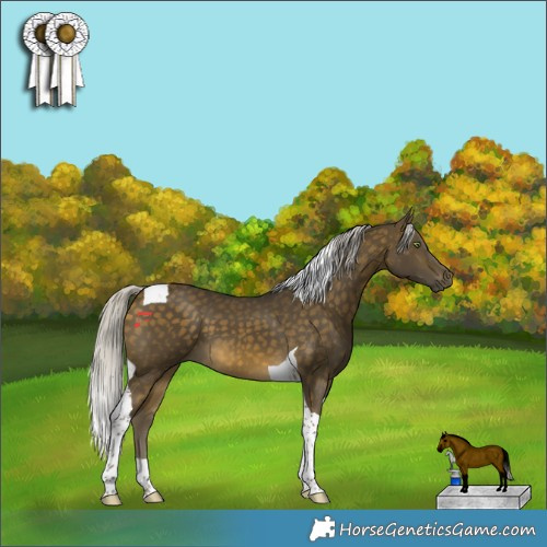 Horse Color:Silver Buckskin Tobiano 
