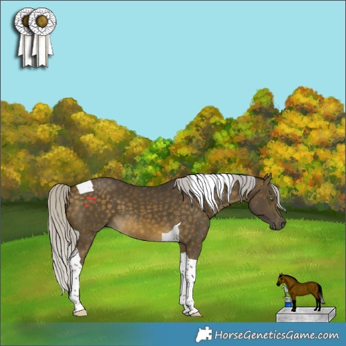 Horse Color:Silver Buckskin Tobiano 