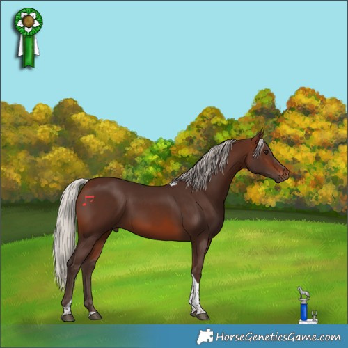 Horse Color:Silver Brown Tobiano