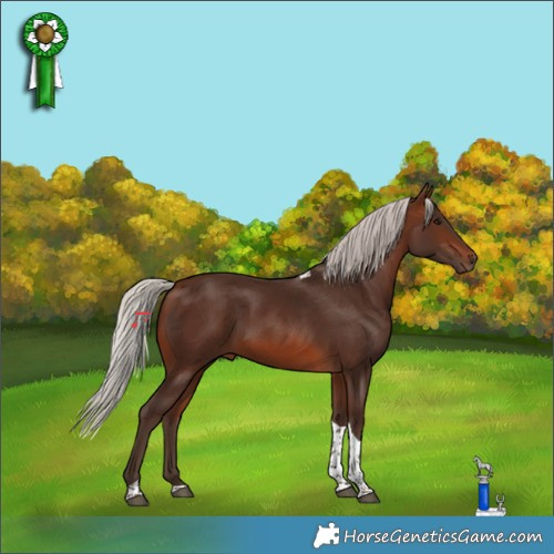 Horse Color:Silver Brown Tobiano