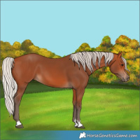 Horse Color:Silver Bay