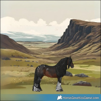 Horse Color:Gray White Spotted Bay Tobiano