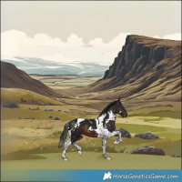 Horse Color:Gray White Spotted Bay Tobiano