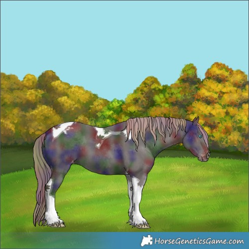 Horse Color:Nacre Liver Chestnut Tobiano Appaloosa