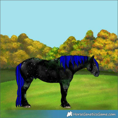 Horse Color:ERROR: UNKNOWN ANOMALY