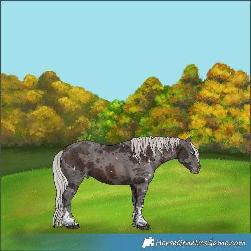Horse Color:White Spotted Silver Brown Merle Tobiano Varnish 