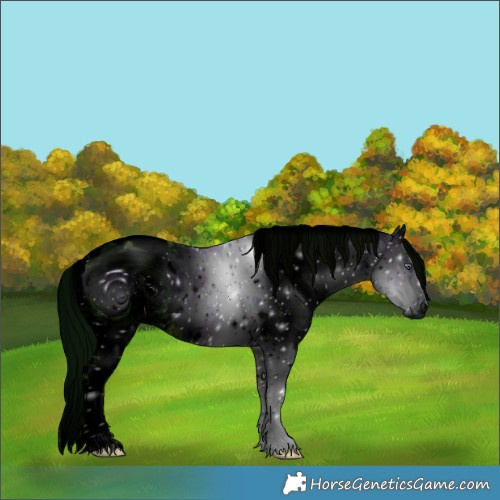 Horse Color:ERROR: UNKNOWN ANOMALY