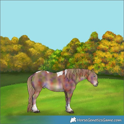 Horse Color:Nacre Chestnut Tobiano 