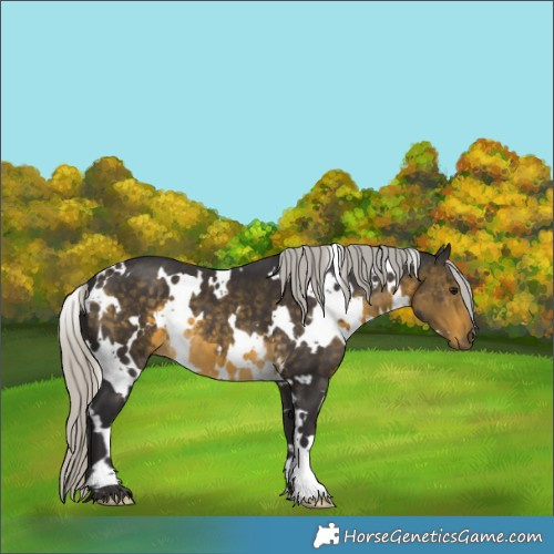 Horse Color:White Spotted Silver Buckskin