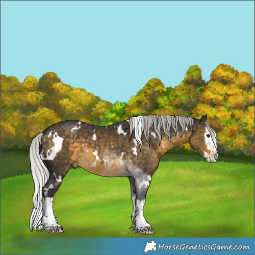 Horse Color:White Spotted Silver Buckskin Splash