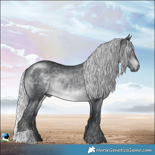 Horse Color:Silver Brown Chinchilla 
