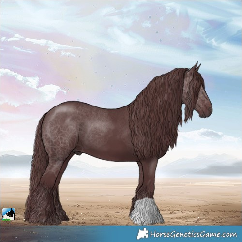 Horse Color:Chocolate Black 