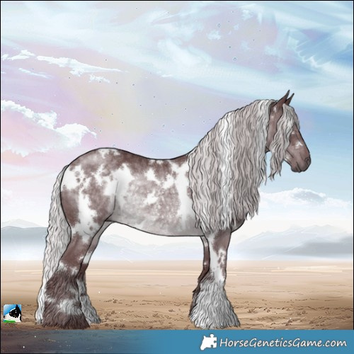 Horse Color:White Spotted Chocolate Silver Black Chinchilla Rabicano 