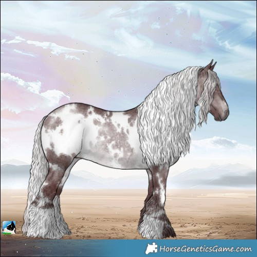 Horse Color:White Spotted Chocolate Silver Brown Chinchilla Rabicano 