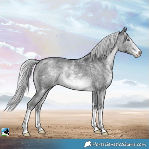 Horse Color:Silver Brown Chinchilla Sabino Rabicano 