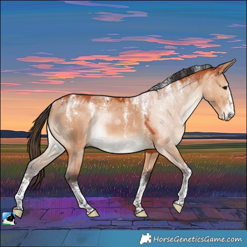 Horse Color:Powder White Bay Dun Rabicano 