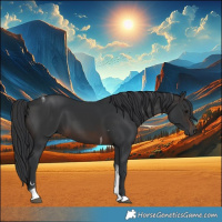 Horse Color:Brown Tobiano