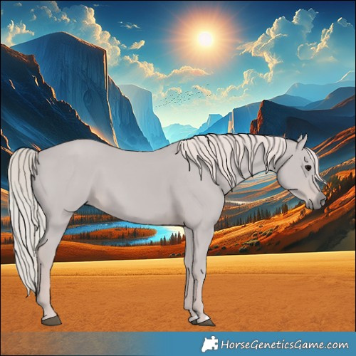 Horse Color:Silver Black