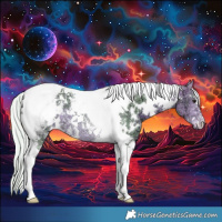 Horse Color:Watercolor White Spotted Silver Buckskin Ice Tobiano Appaloosa