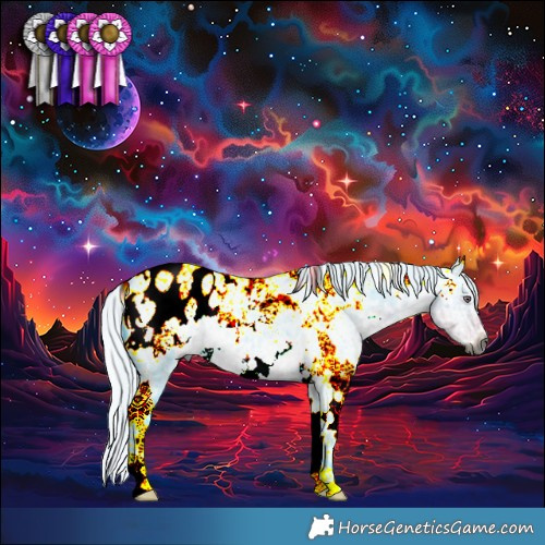 Horse Color:Gray Watercolor White Spotted Chocolate Silver Smoky Blue Chinchilla Ice Roan Appaloosa 