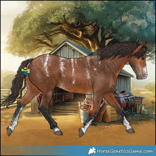 Horse Color:Powder White Bay 