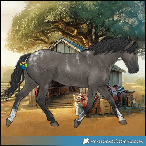 Horse Color:Powder White Grullo