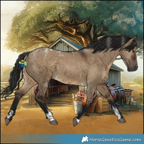 Horse Color:Powder White Gray Brown Dun 