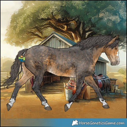 Horse Color:Buckskin Merle 