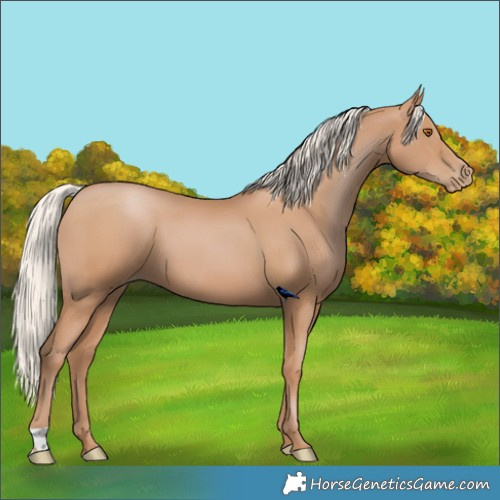 Horse Color:Silver Black Pearl 