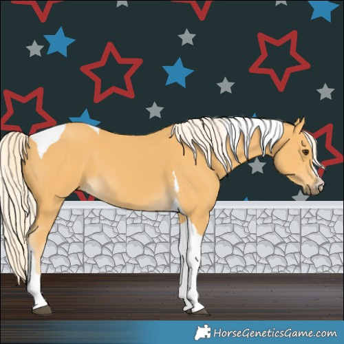 Horse Color:Palomino Tobiano