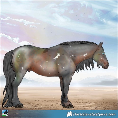 Horse Color:White Spotted Brown Merle 