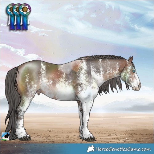 Horse Color:White Spotted Brown Merle 