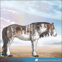 Horse Color:White Spotted Brown Merle 