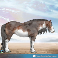 Horse Color:White Spotted Brown Merle Rabicano 