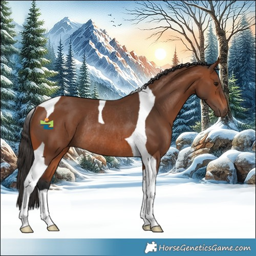 Horse Color:Bay Tobiano Rabicano 