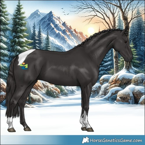 Horse Color:Smoky Black Tobiano Rabicano 