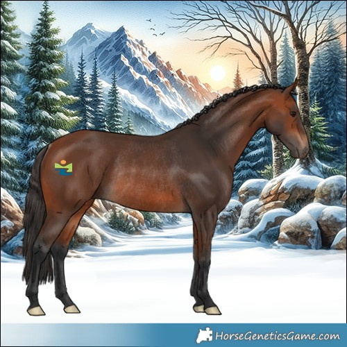 Horse Color:Bay Rabicano 
