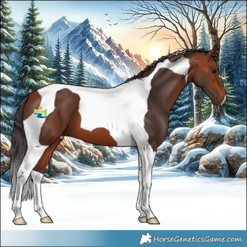 Horse Color:Bay Tobiano 